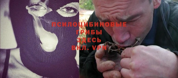 apvp Арсеньев