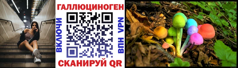 Купить где  Старая Купавна  Псилоцибиновые грибы Magic Shrooms 